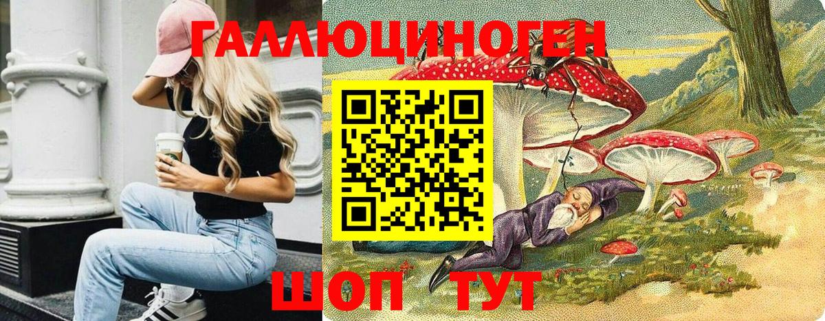 Псилоцибиновые грибы Psilocybe  Вход с VPN  Дербент  Псилоцибиновые грибы мухоморы 